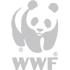 https://www.isibindi.co.za/wp-content/uploads/sites/15/2018/02/WWF-1.png