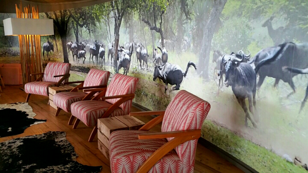 The lounge of Rhino Ridge Safari Lodge which Sphamandla manages