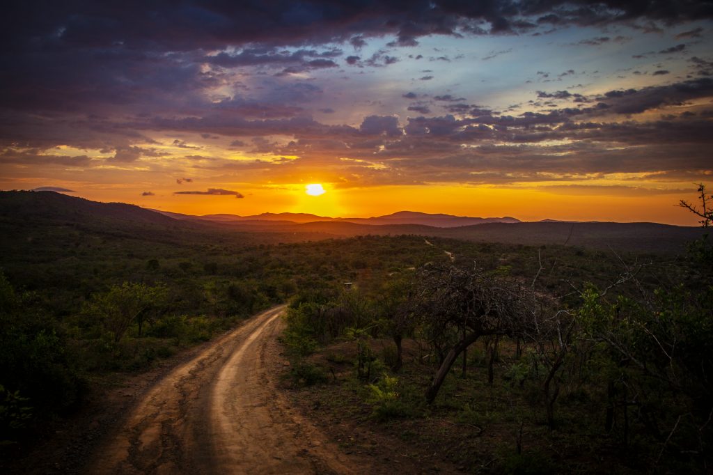 Bush, beach and forest in one trip - Isibindi Africa Lodges
