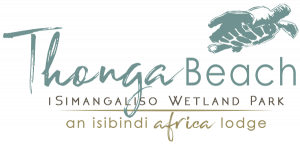 Logo of Thonga Beach Lodge an Isibindi Africa lodge situtated within the iSimangaliso World Heritage Park near the Indian Ocean, Kzn South Africa.