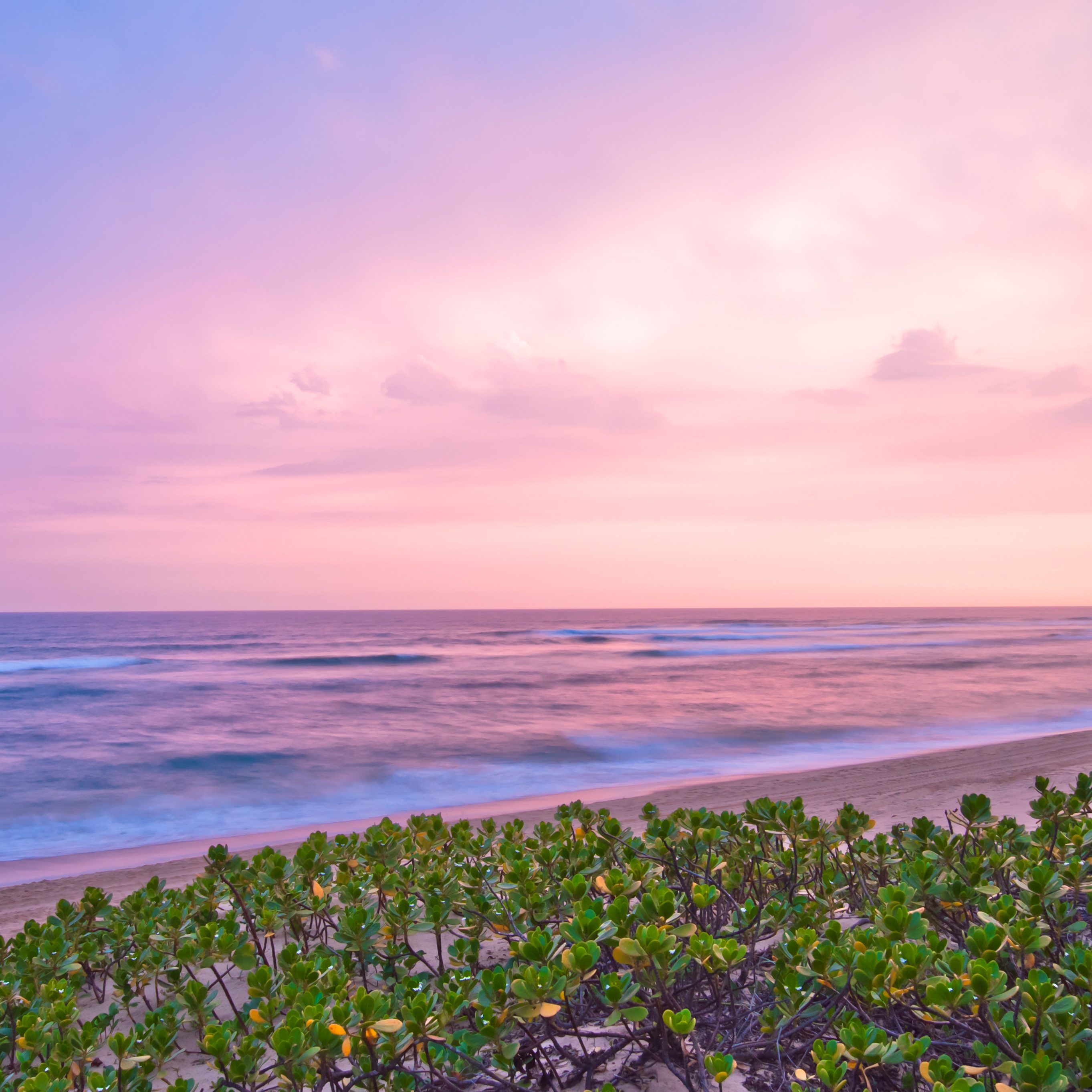 Thonga beach dawn - photograph by Carl Moller