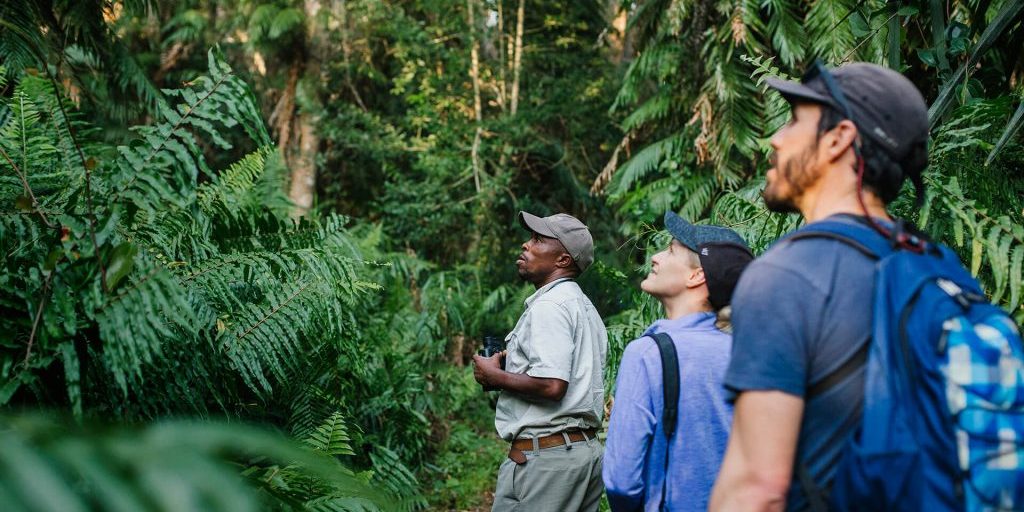 Local guides with incredible knowledge