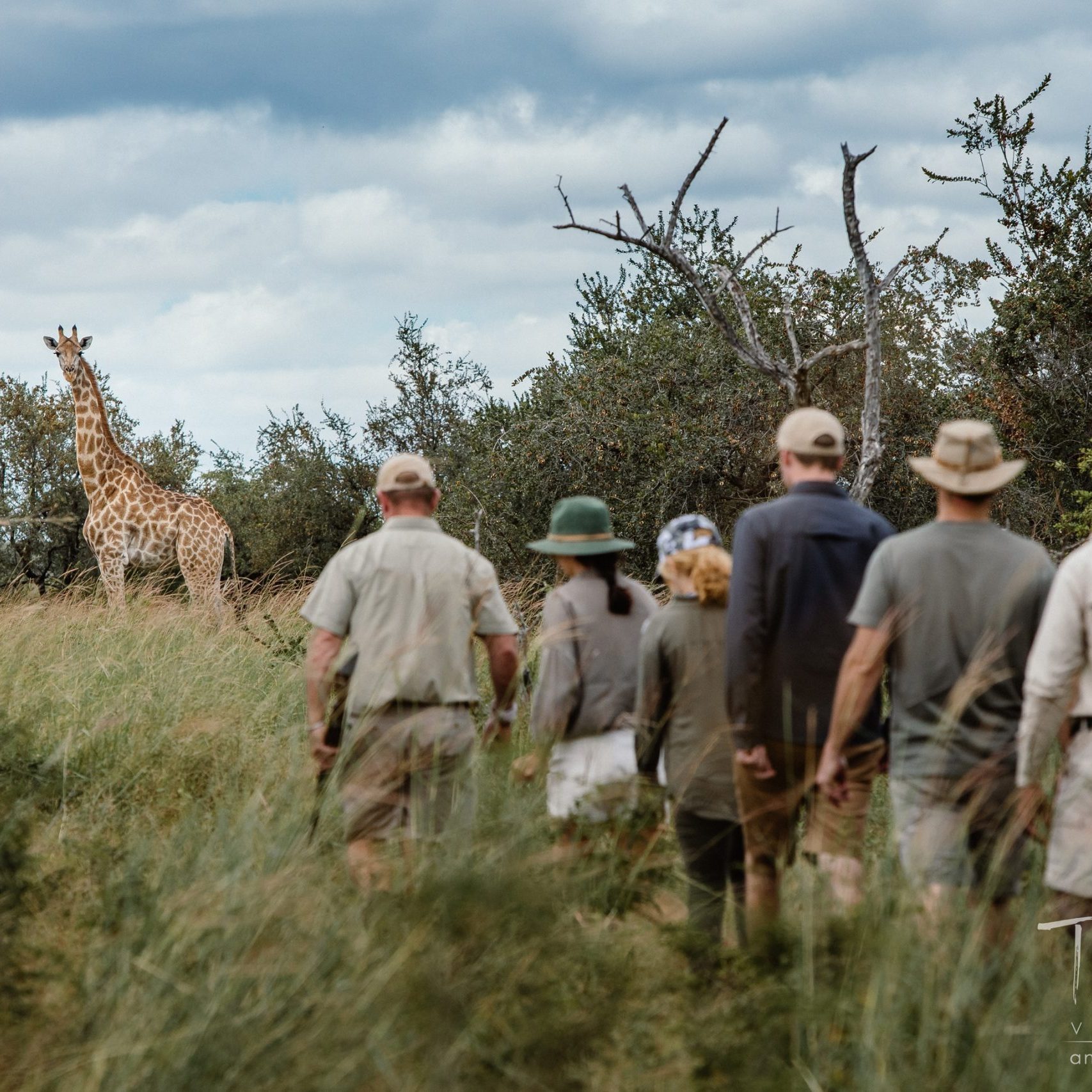 Guided-Game-Walks-in-the-Zambezi-National-Park_rs