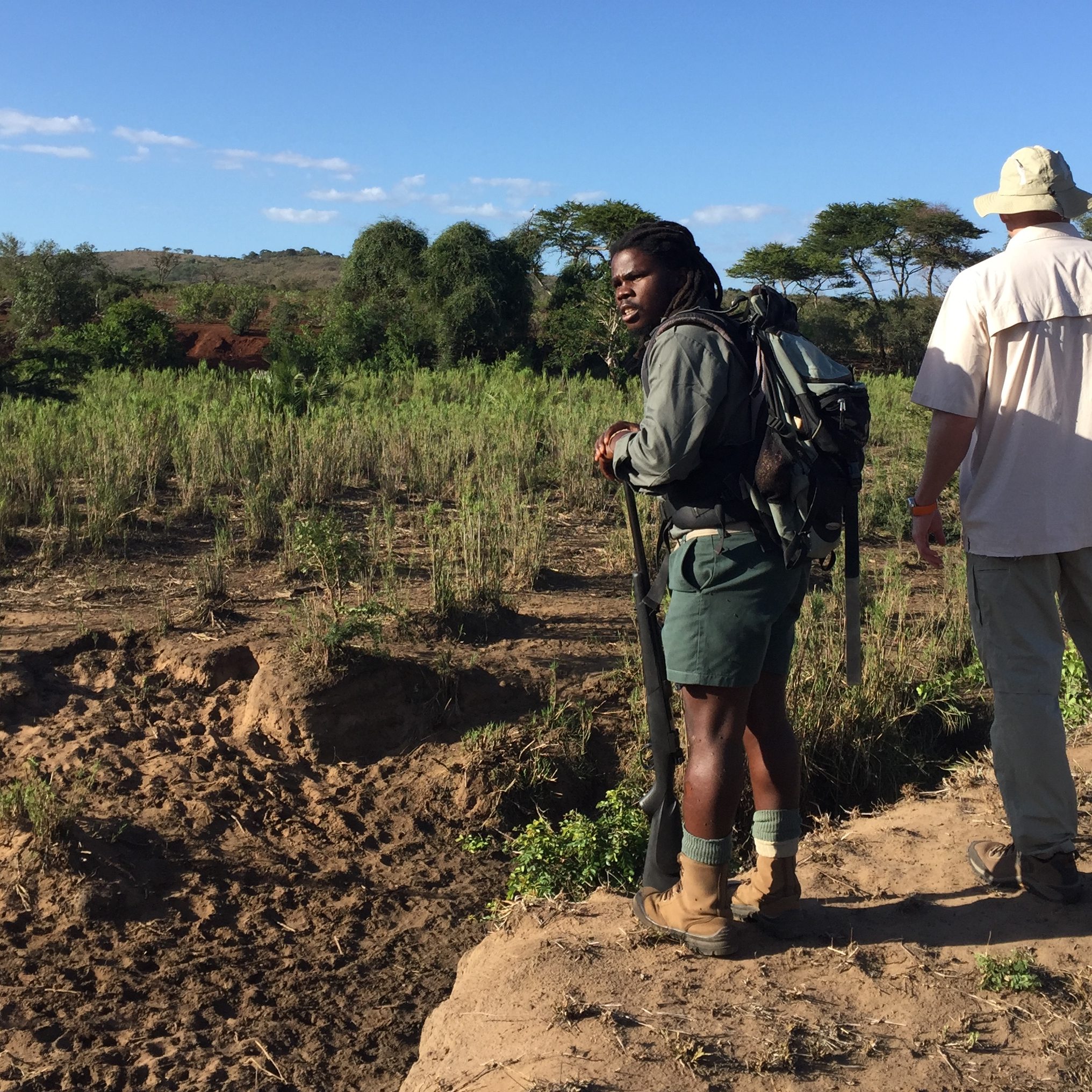 Hluhluwe iMfolozi game reserve park walking trail