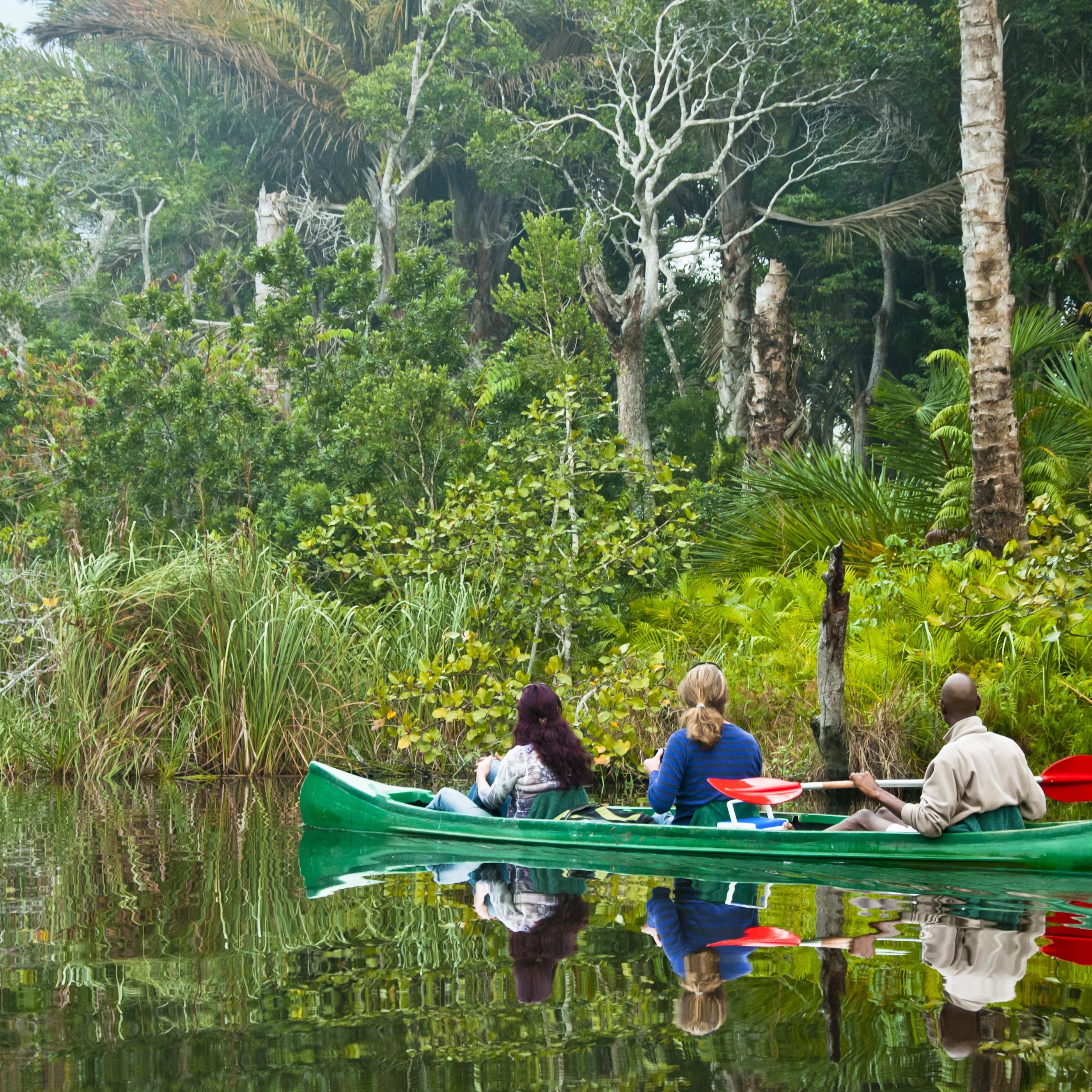 Isimangaliso Wetland Park (Greater St Lucia Wetland Park). KwaZulu Natal. South Africa