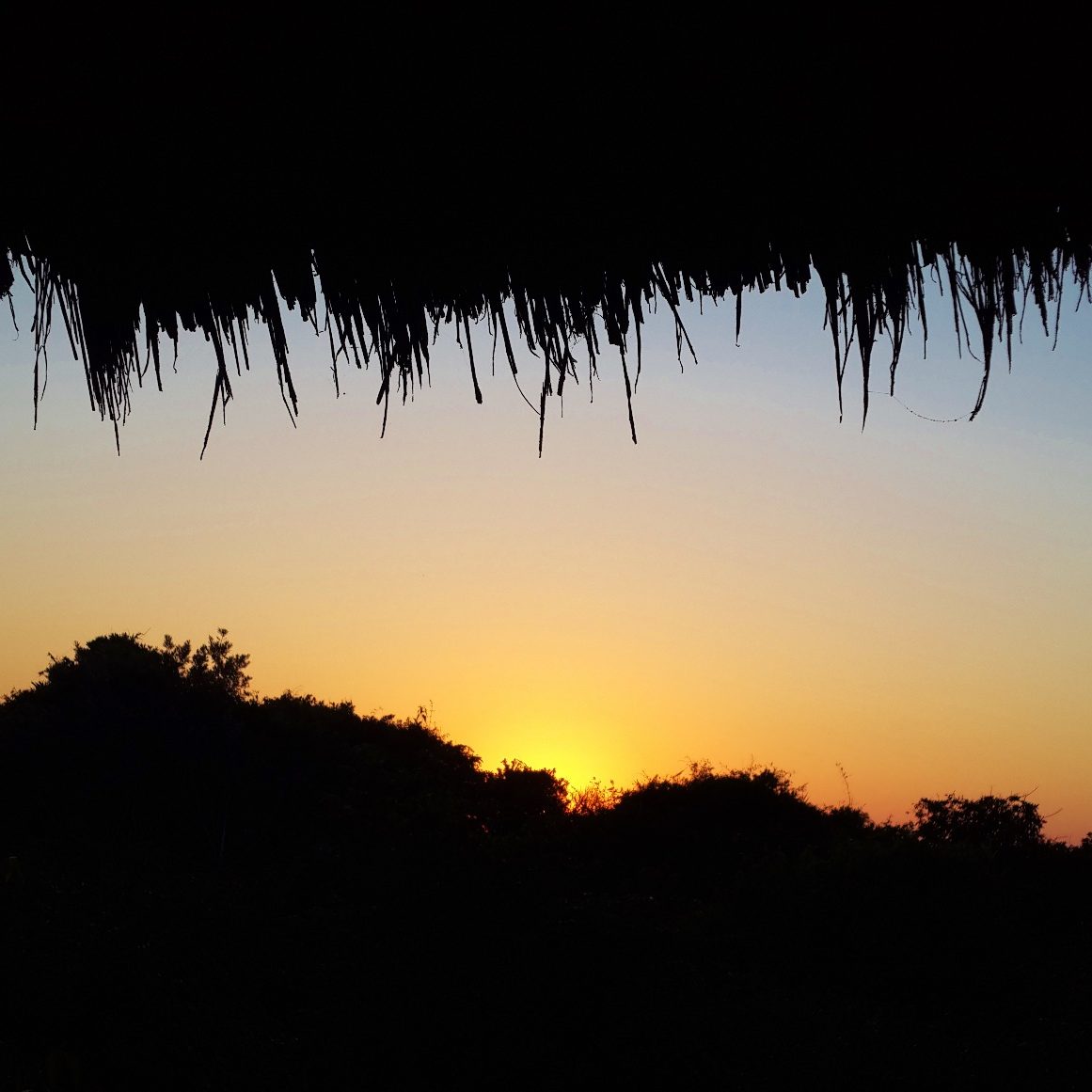 tbl-thatch-sunset-view-bm