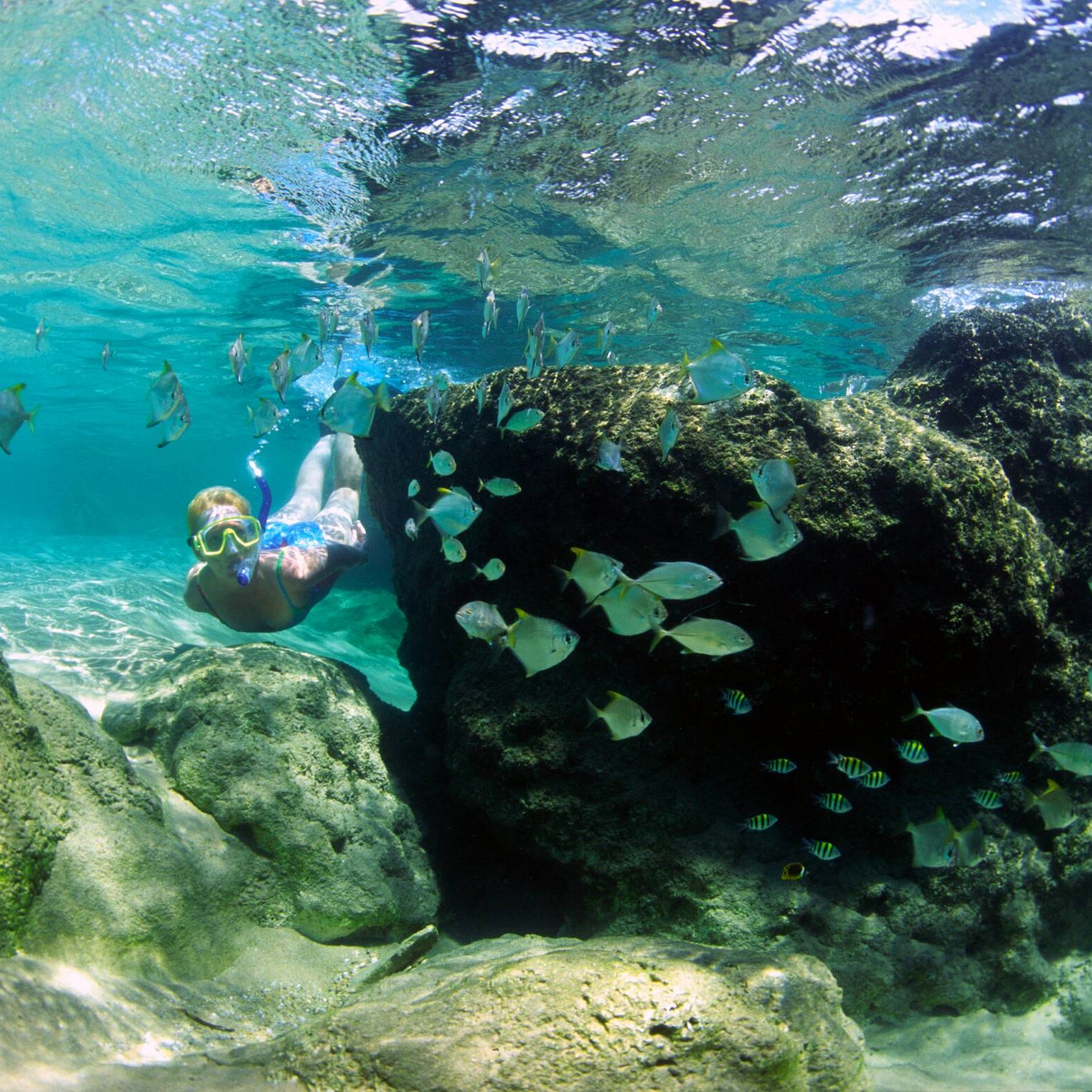 TBL snorkelling in rock pools