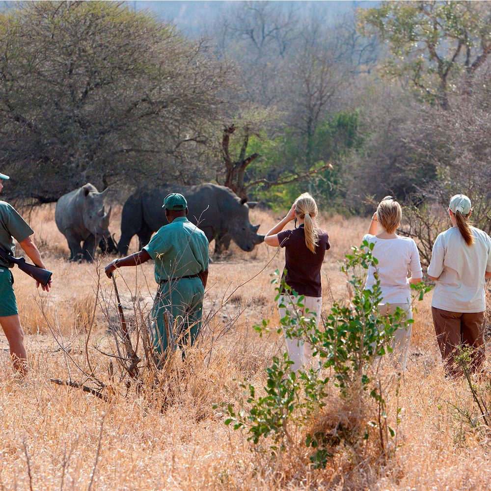 plains-camp-walking-with-rhino-circle plains-camp-walking-with-rhino-circle